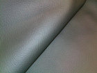 cam005003.jpg
