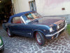 cam008010.jpg