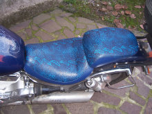 cam010009.jpg