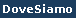 cam016001.gif